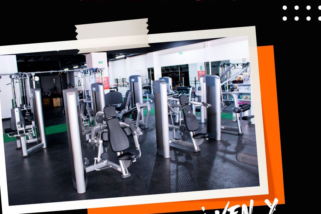 Imagem da estrutura da academia