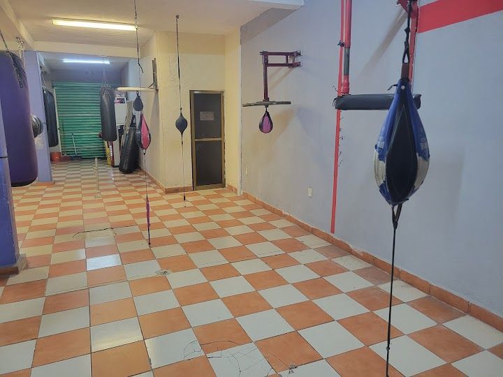 Imagem da estrutura da academia