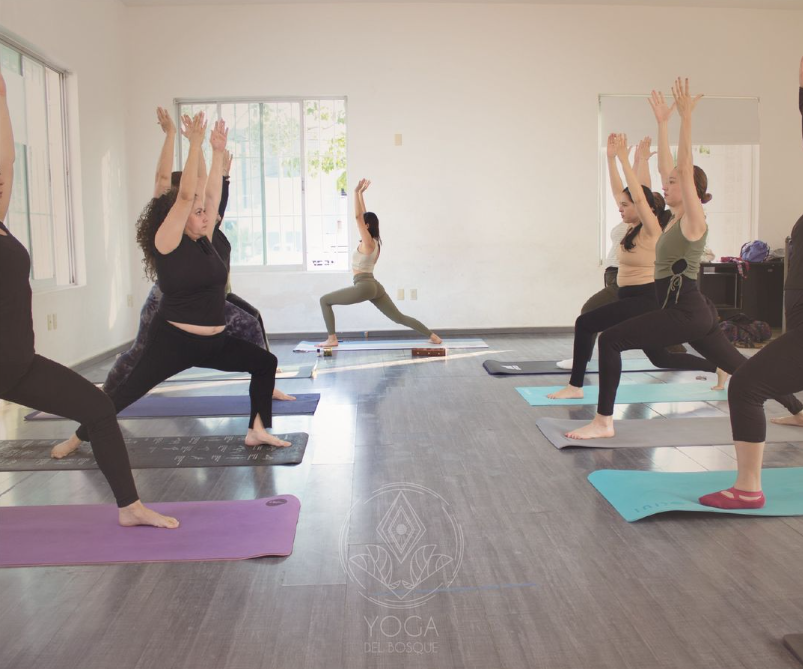 Imagem da estrutura da academia