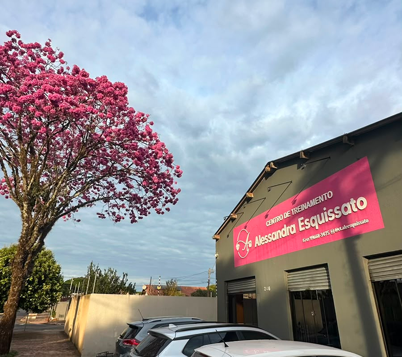 Imagem da estrutura da academia