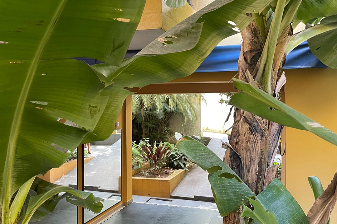 Imagem da estrutura da academia