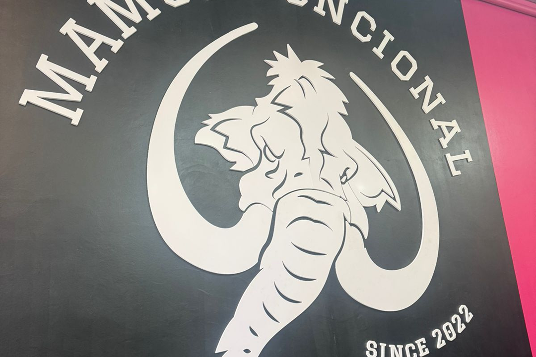 Imagem da estrutura da academia