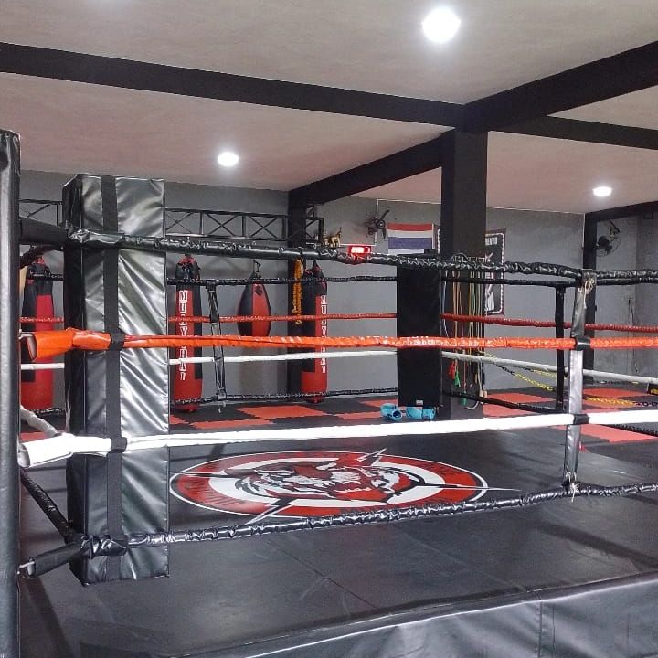 Imagem da estrutura da academia