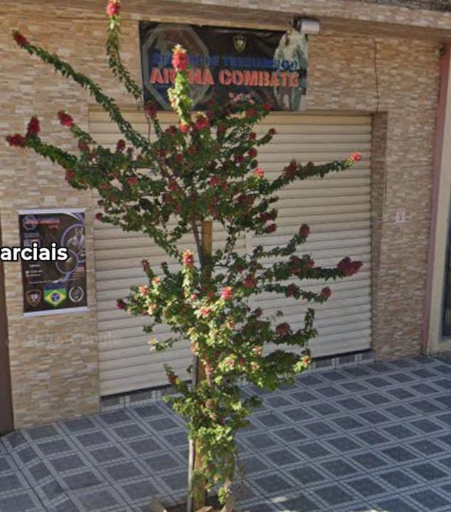 Imagem da estrutura da academia