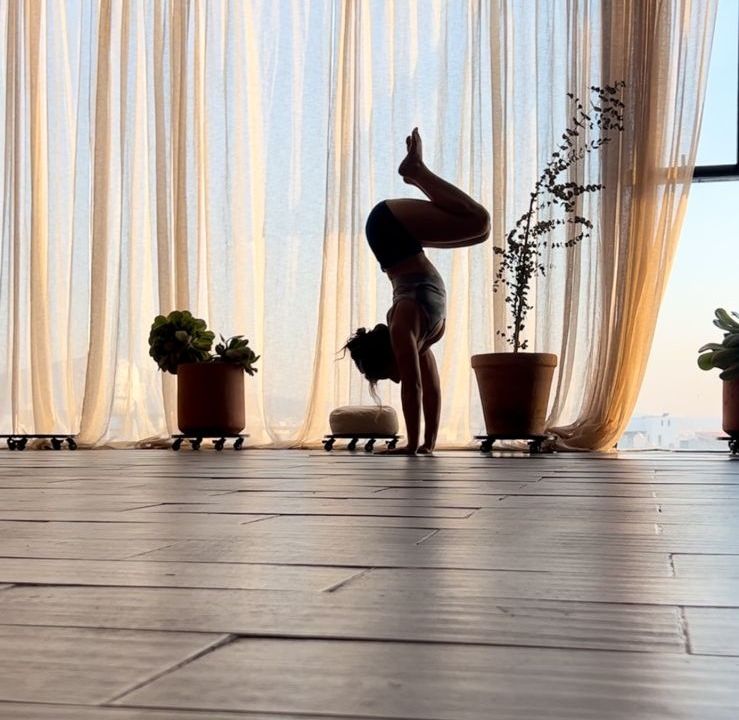 Imagem da estrutura da academia