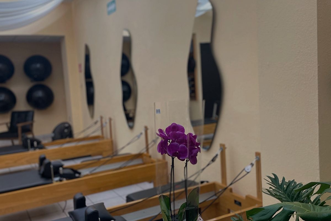 Imagem da estrutura da academia