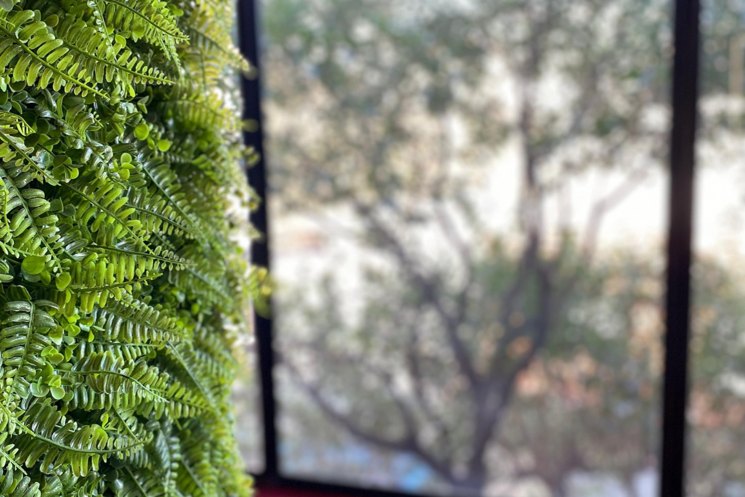 Imagem da estrutura da academia