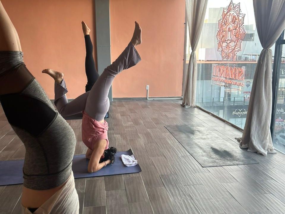 Imagem da estrutura da academia