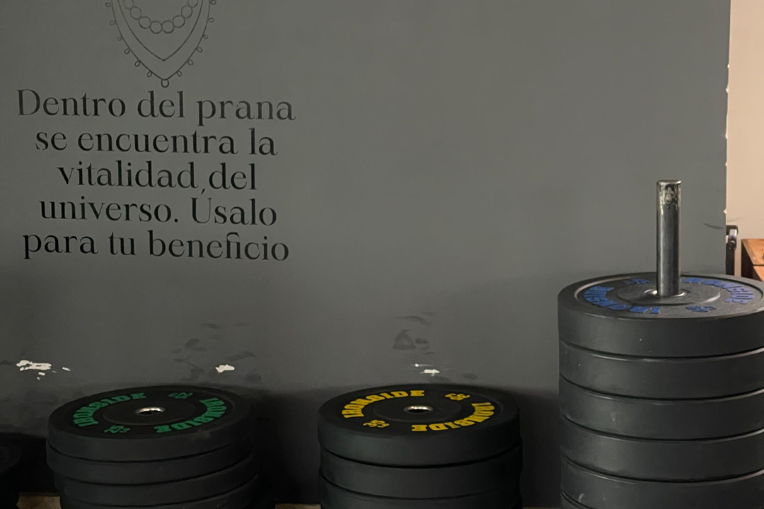 Imagem da estrutura da academia