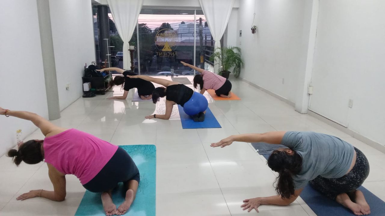 Imagem da estrutura da academia