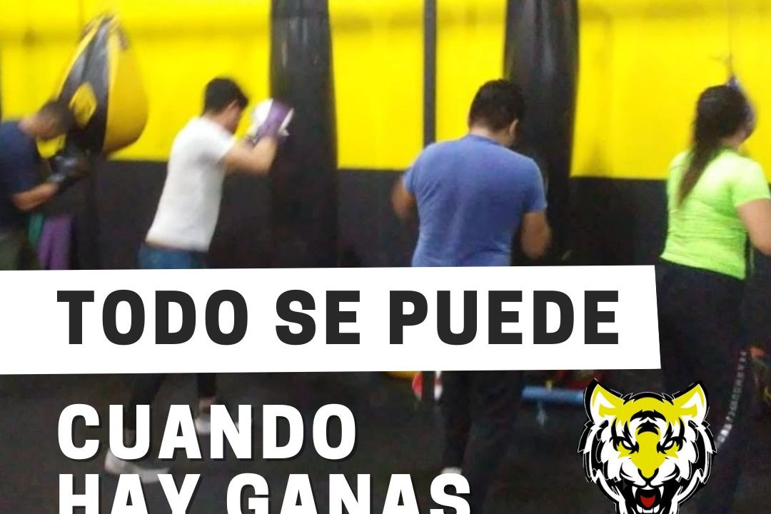 Imagem da estrutura da academia