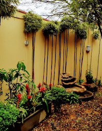 Imagem da estrutura da academia