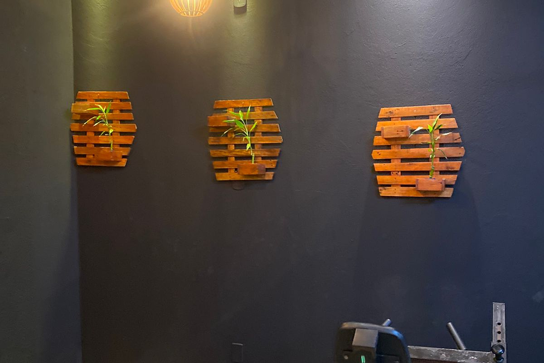 Imagem da estrutura da academia