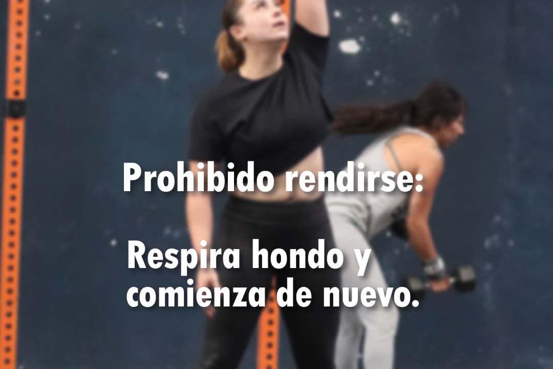 Imagem da estrutura da academia