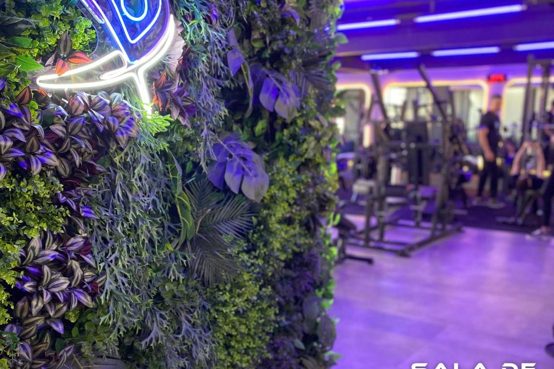 Imagem da estrutura da academia