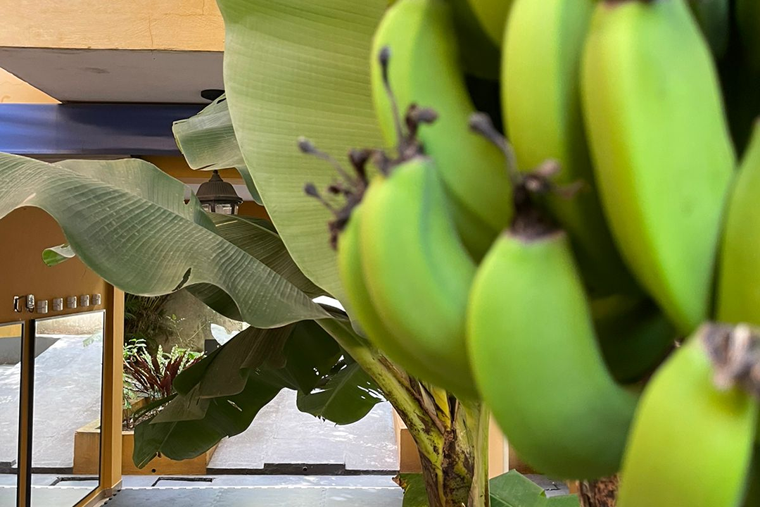 Imagem da estrutura da academia