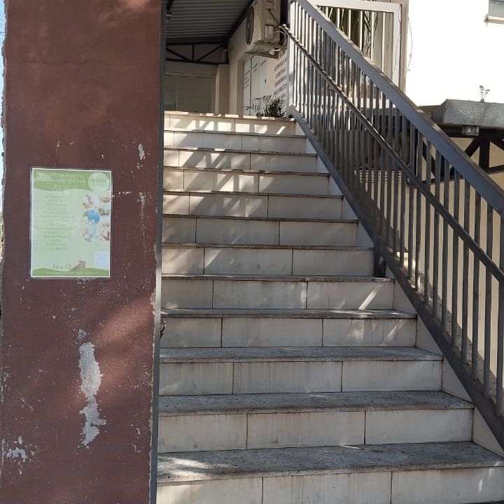 Imagem da estrutura da academia