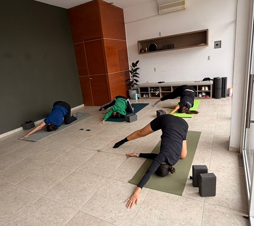 Imagem da estrutura da academia