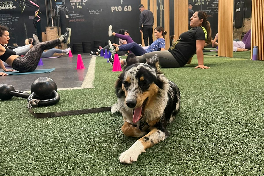 Imagem da estrutura da academia