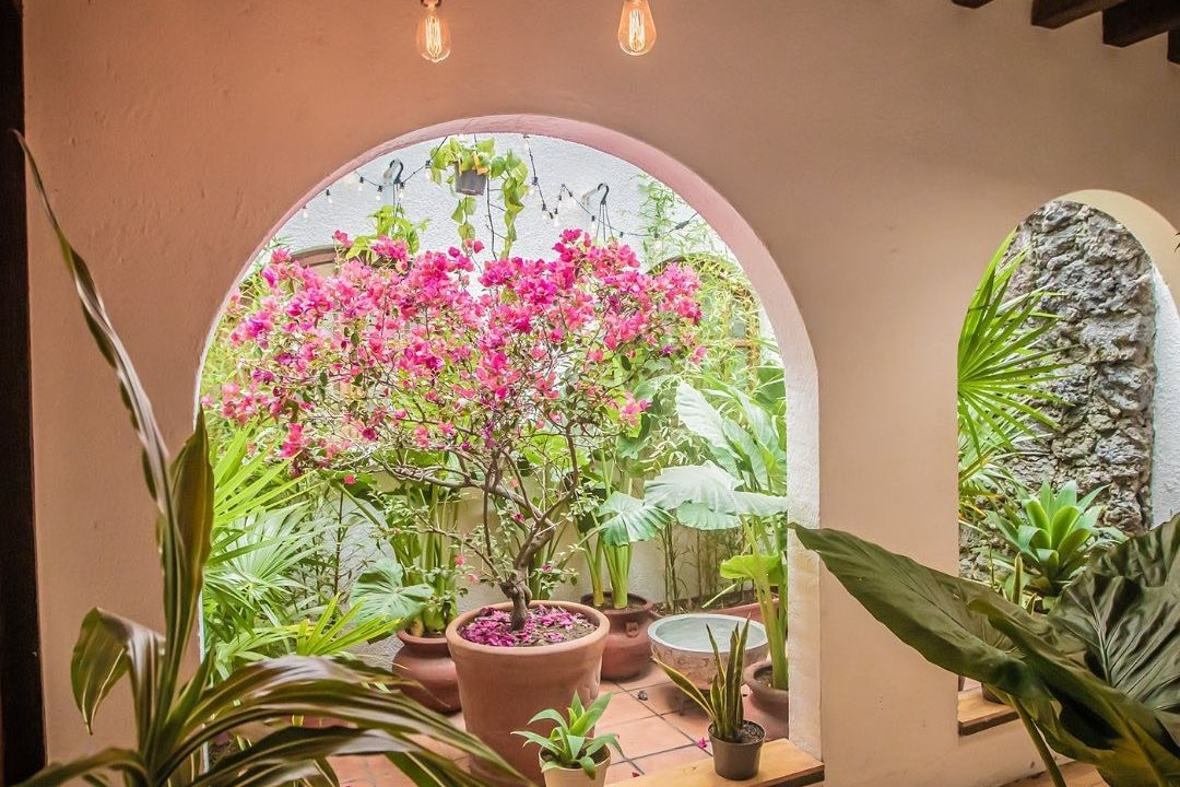 Imagem da estrutura da academia