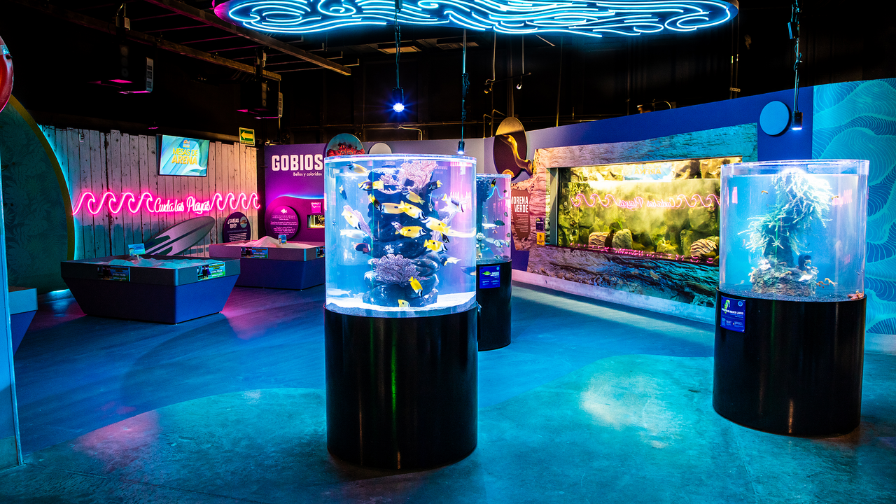 Imagem da estrutura da academia