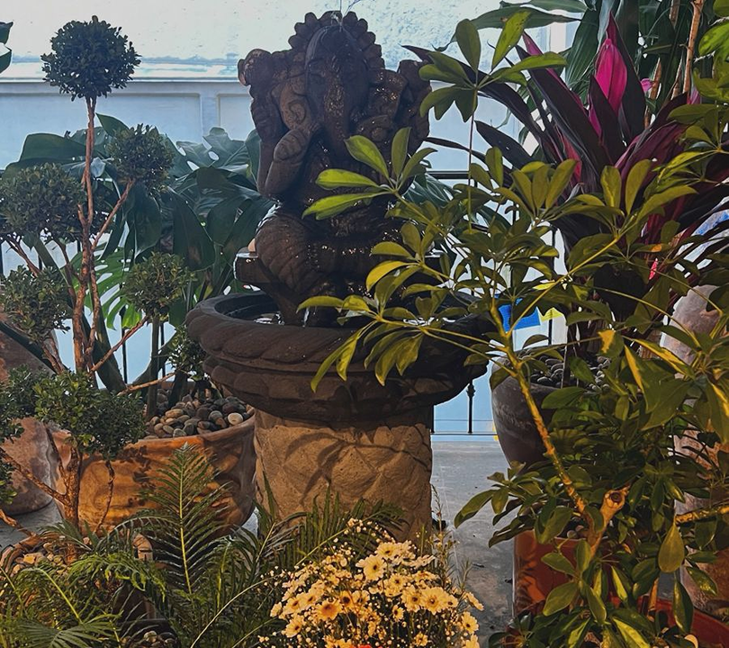 Imagem da estrutura da academia