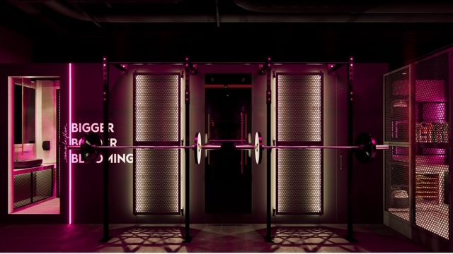 Imagem da estrutura da academia