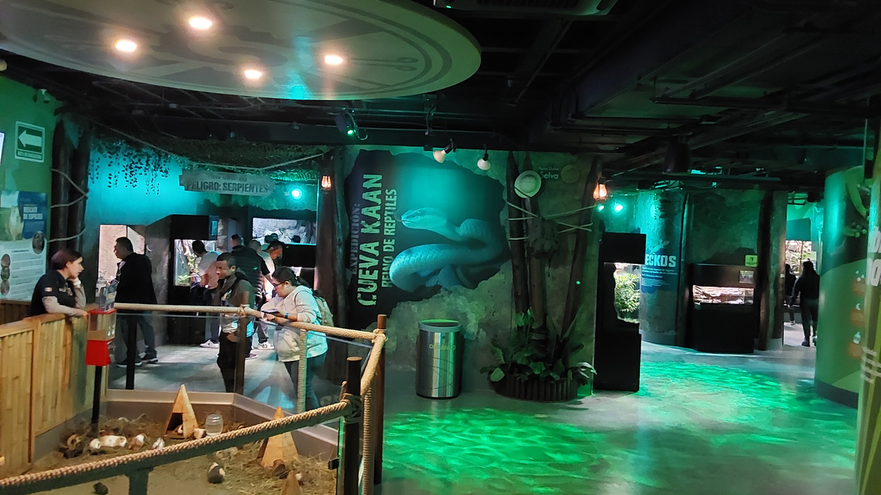 Imagem da estrutura da academia