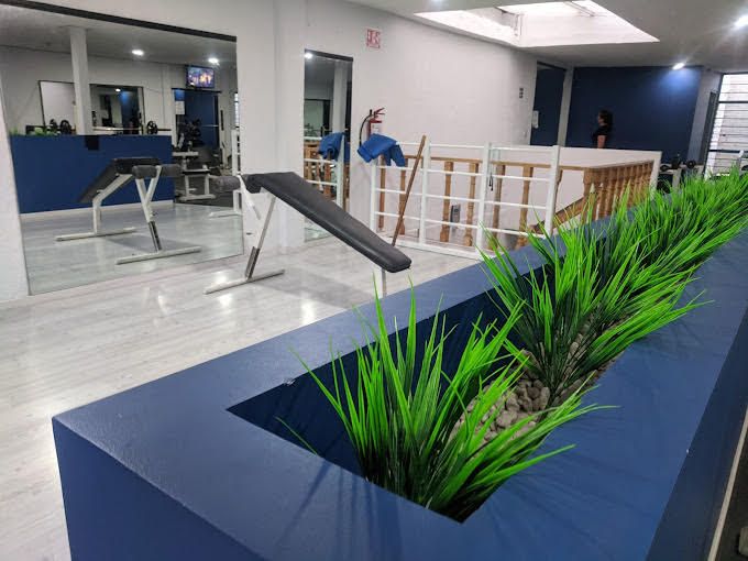 Imagem da estrutura da academia