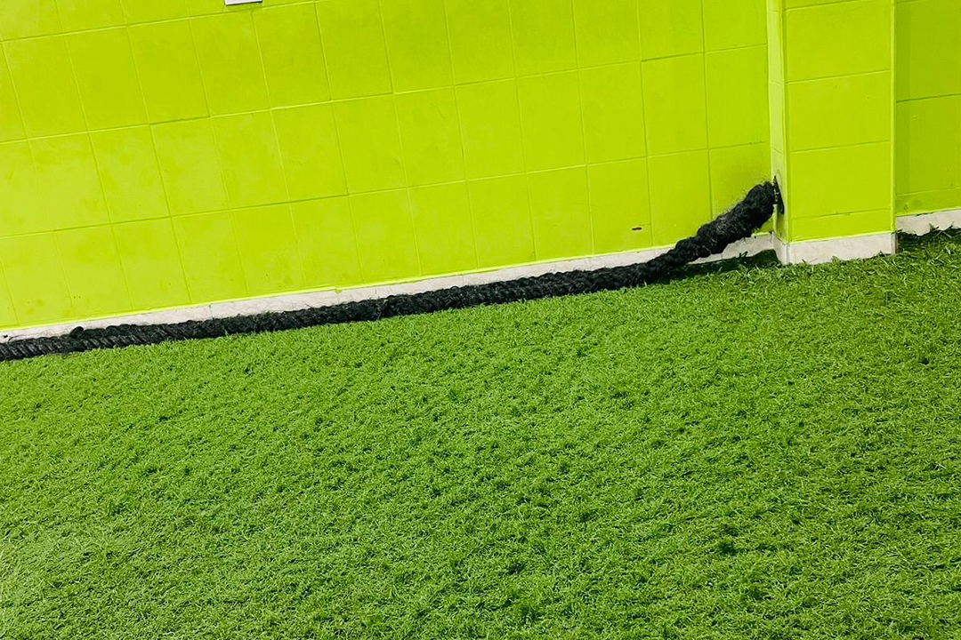 Imagem da estrutura da academia