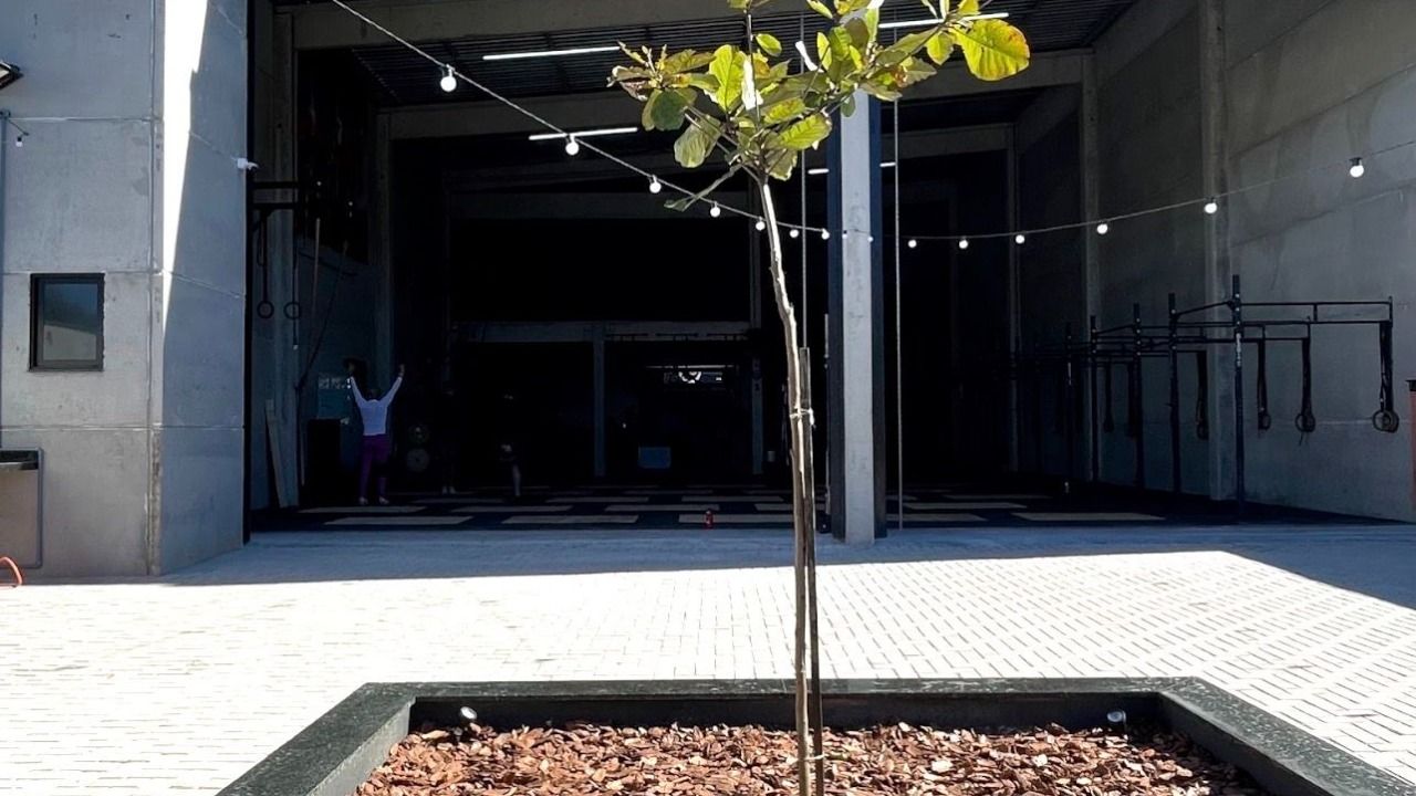 Imagem da estrutura da academia