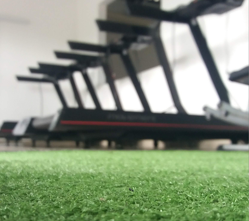 Imagem da estrutura da academia