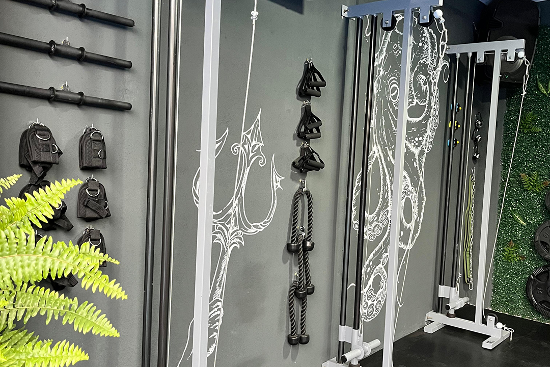 Imagem da estrutura da academia