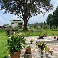 Imagem da estrutura da academia