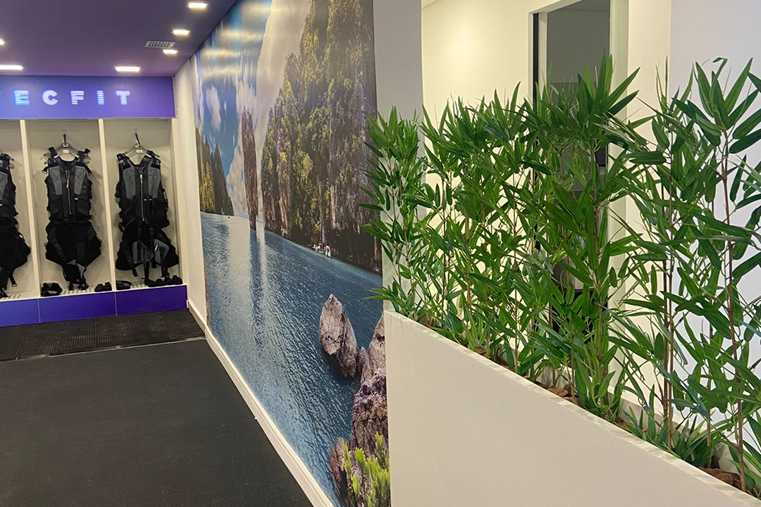 Imagem da estrutura da academia