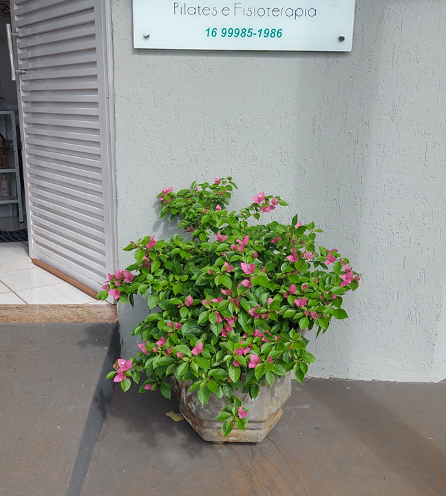 Imagem da estrutura da academia