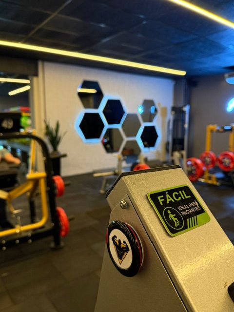 Imagem da estrutura da academia