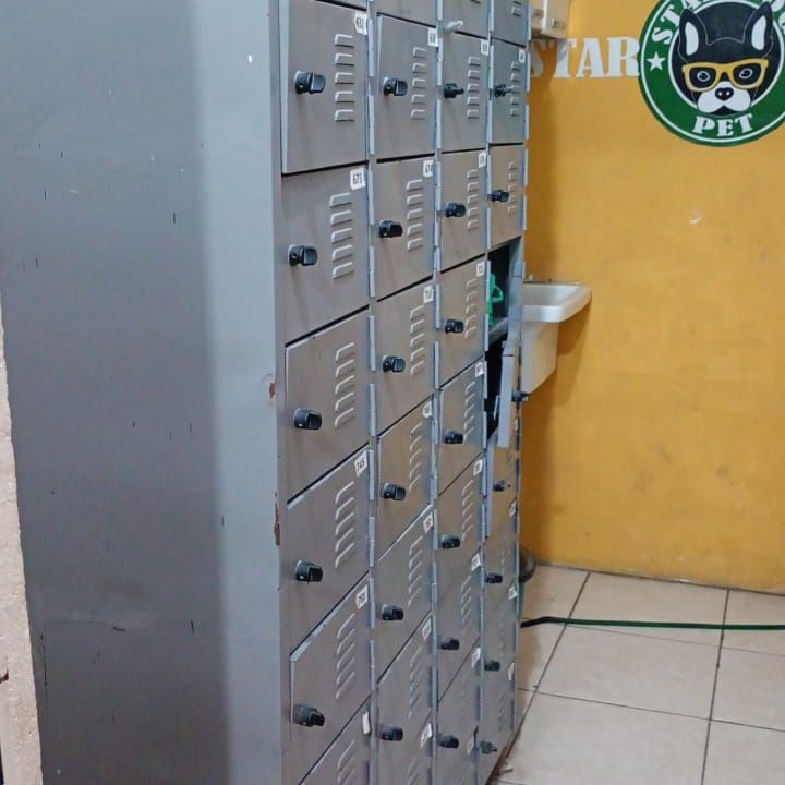 Imagem da estrutura da academia