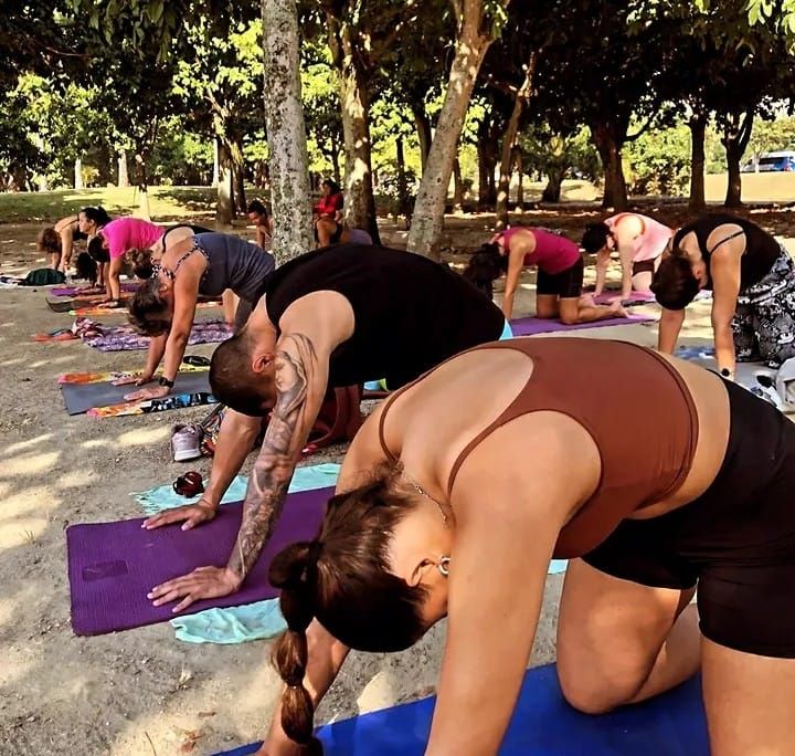 Imagem da estrutura da academia