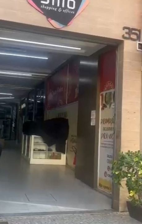 Imagem da estrutura da academia