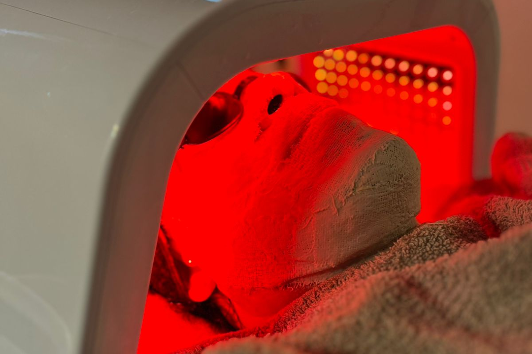 Imagem da estrutura da academia