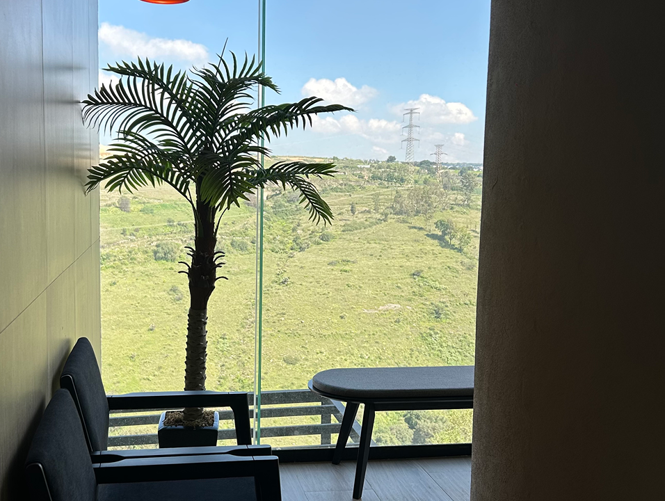 Imagem da estrutura da academia