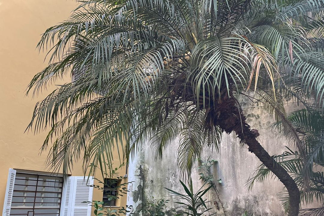 Imagem da estrutura da academia