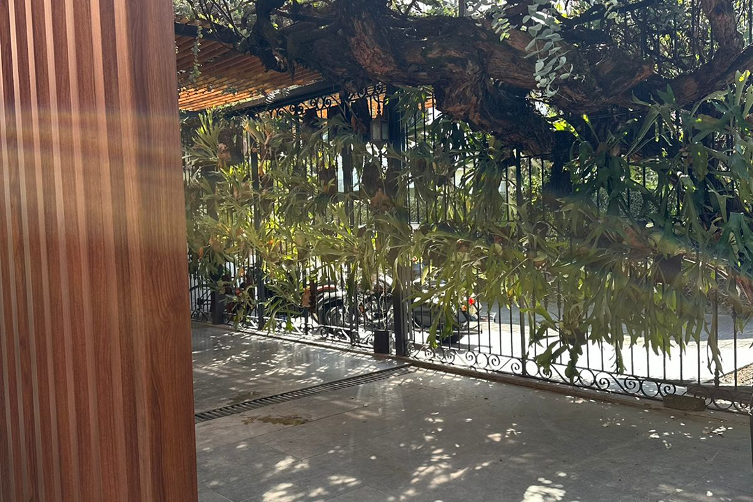 Imagem da estrutura da academia