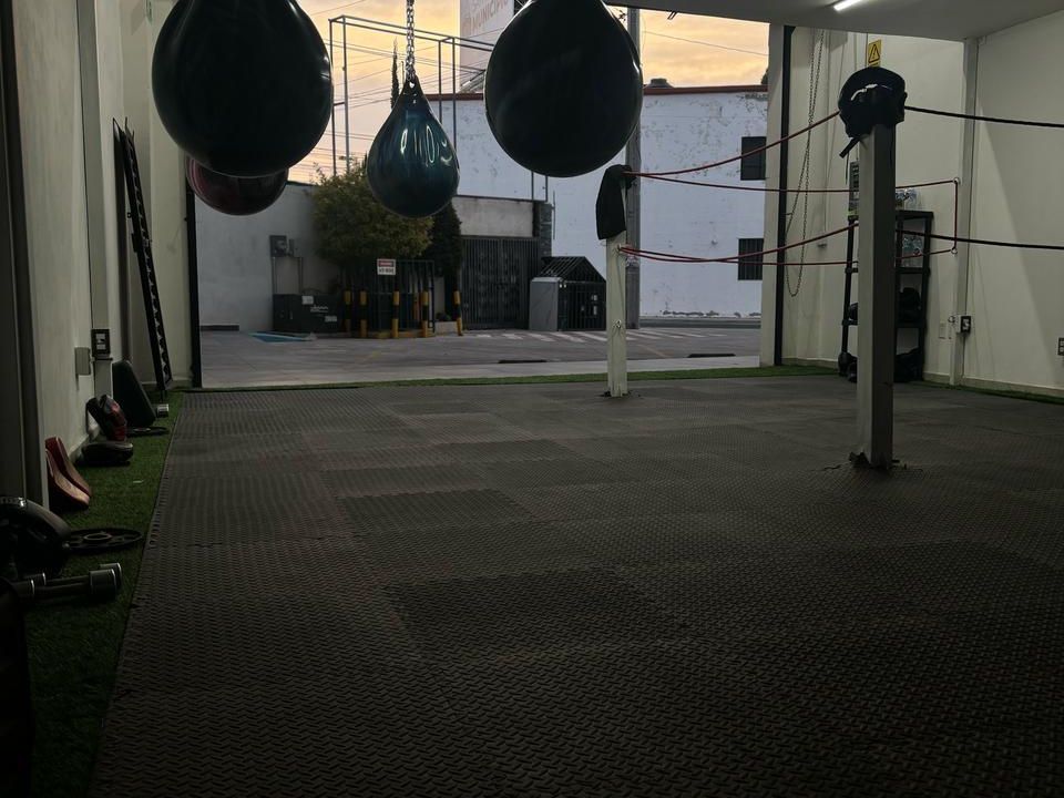 Imagem da estrutura da academia