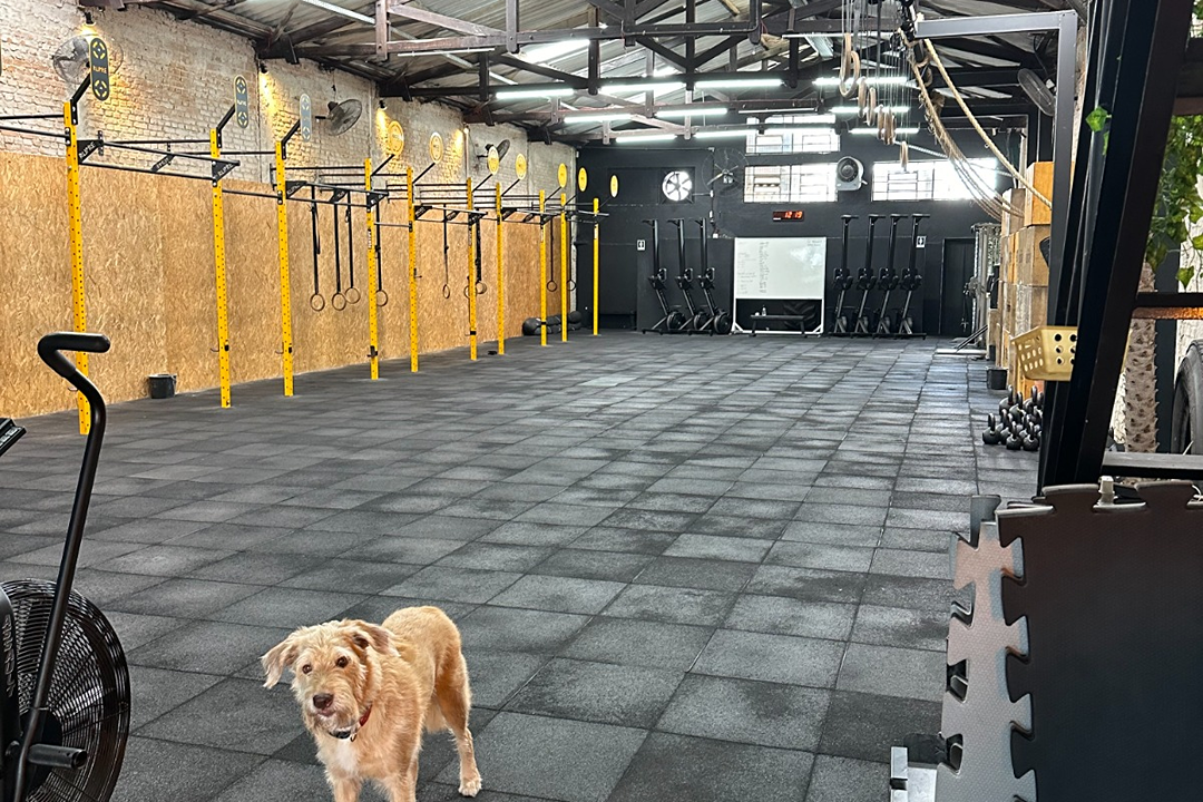 Imagem da estrutura da academia