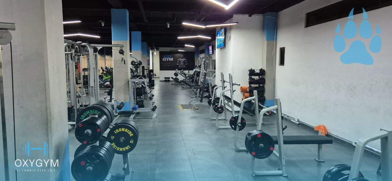 Imagem da estrutura da academia