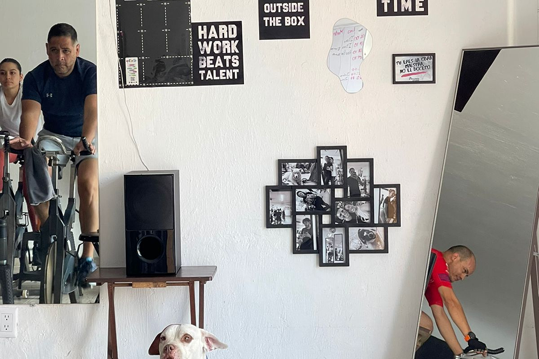 Imagem da estrutura da academia